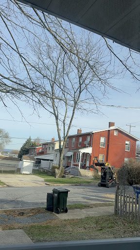crane assisted tree removal