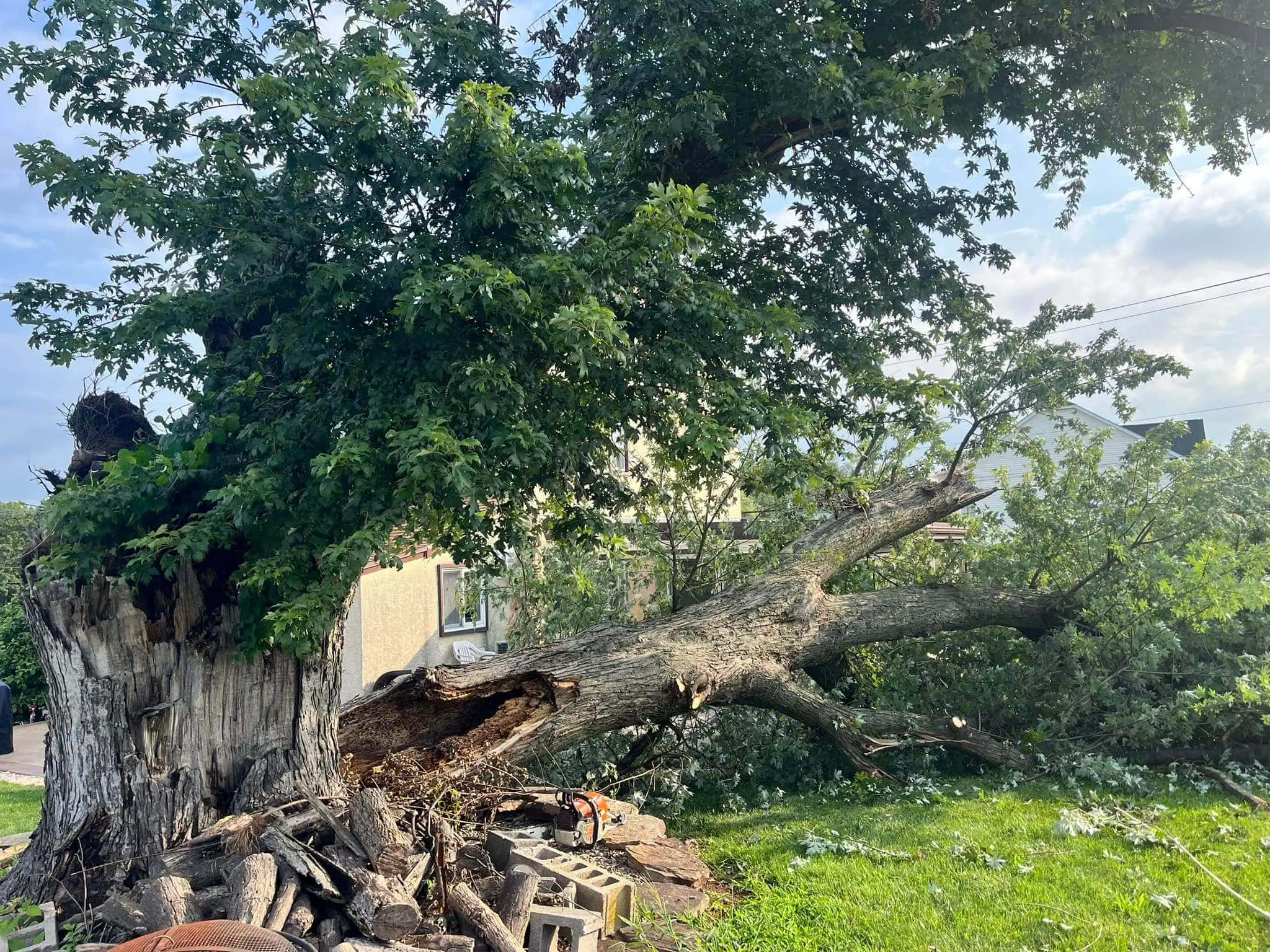Emergency tree removal in Reading PA after tree fell on house