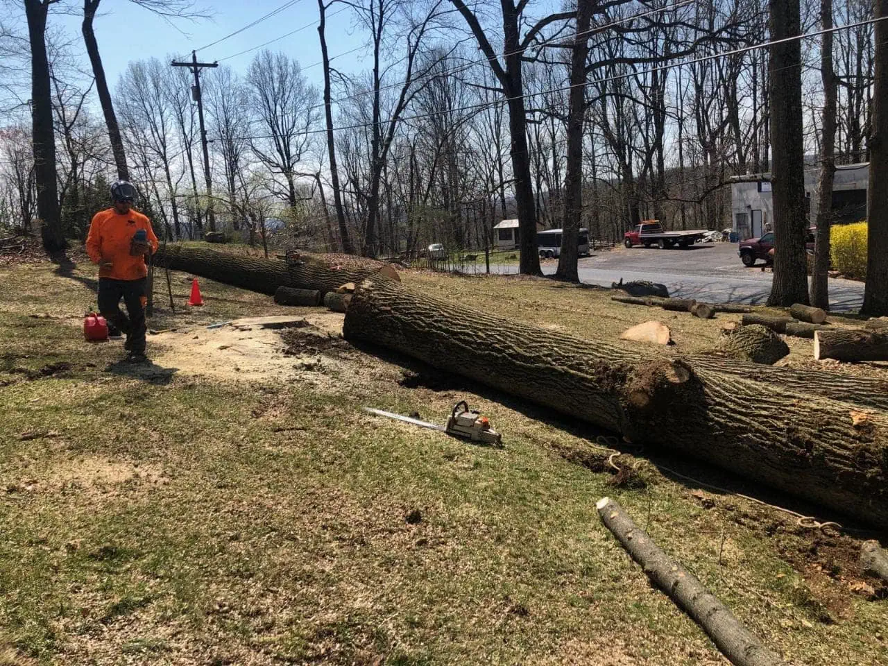 Trusted Tree Company in Mohnton