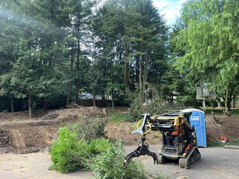 Bolder Quality Tree Care team performing professional tree care