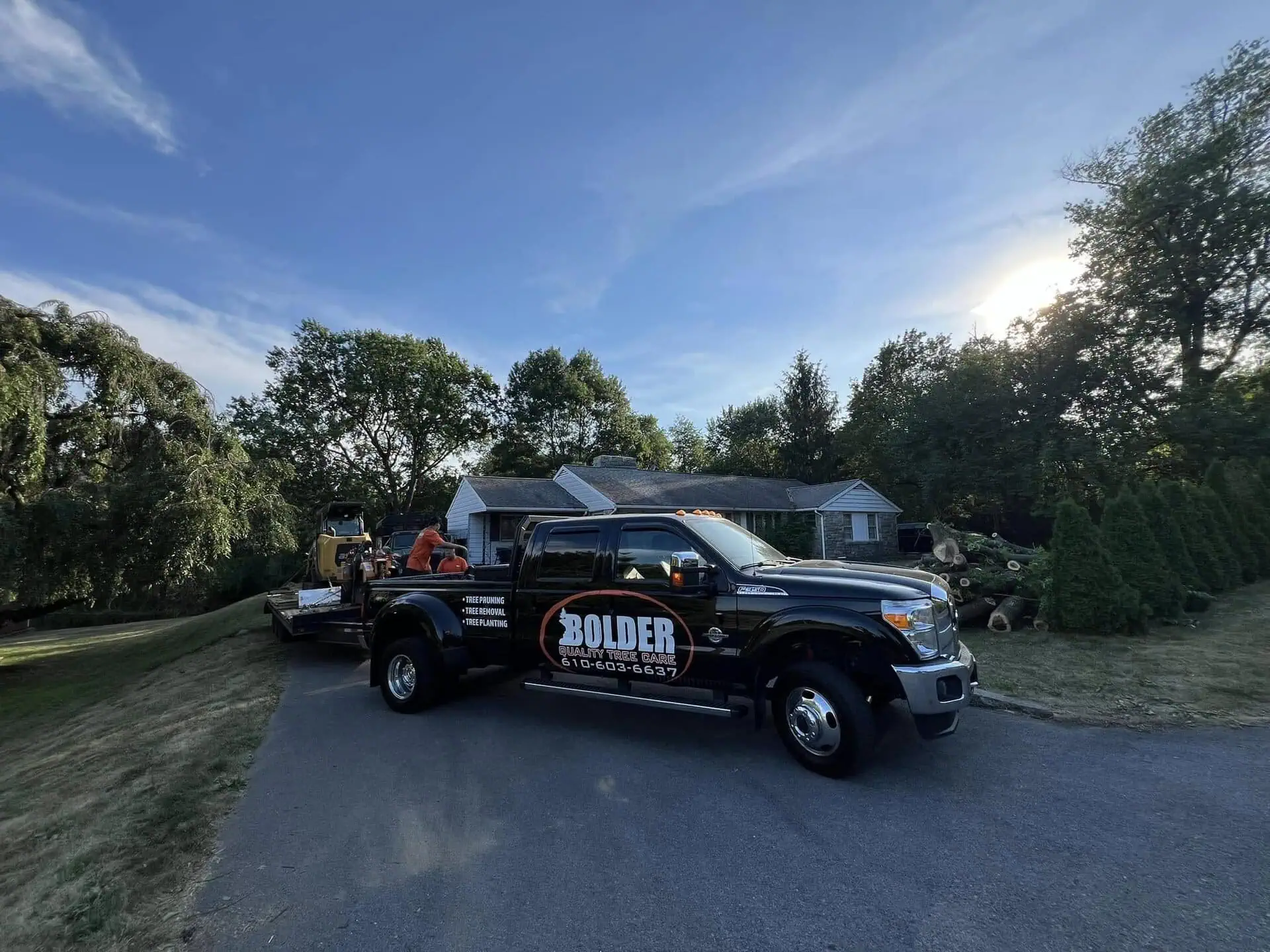 Professional tree service in Reading PA with clean and organized work