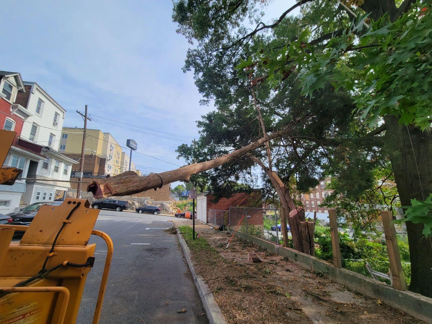 Tree removal near utility lines in Reading PA using controlled rigging