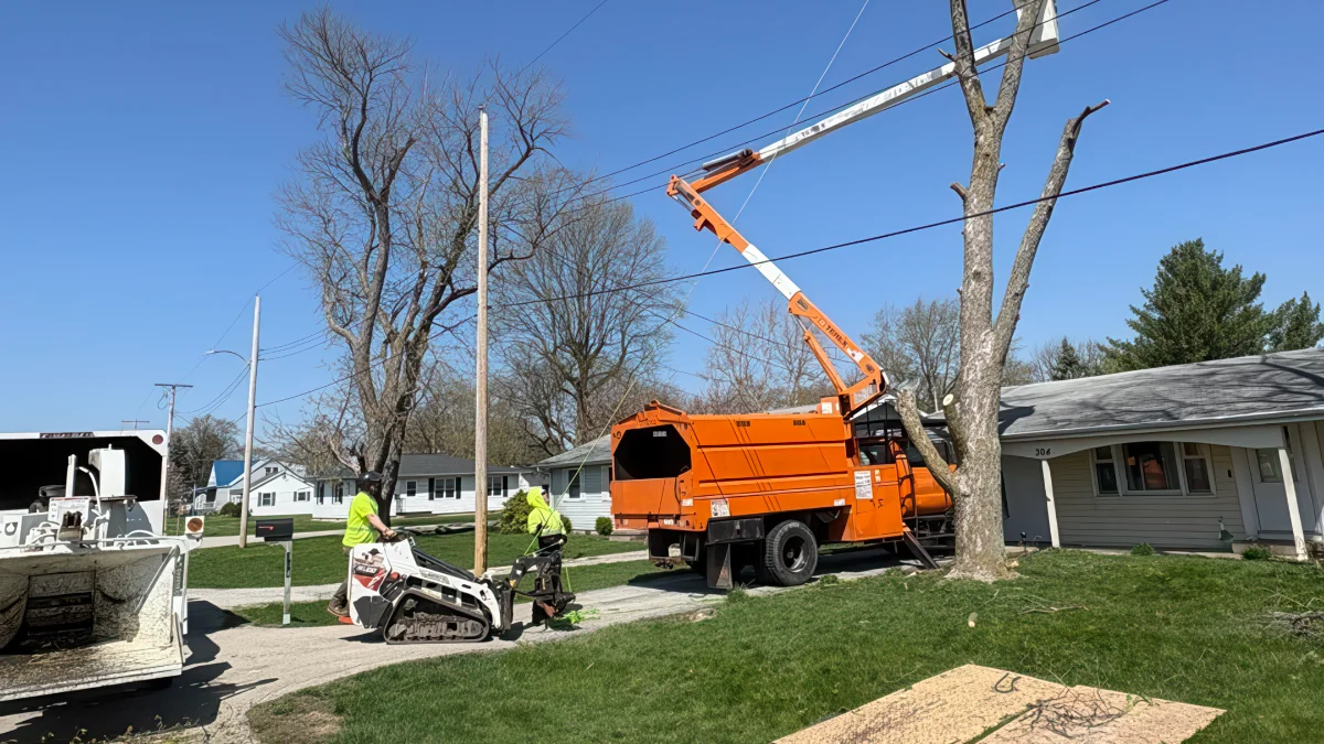 Bolder Quality Tree Care ISA-certified arborist team working on tree removal in Elverson, PA