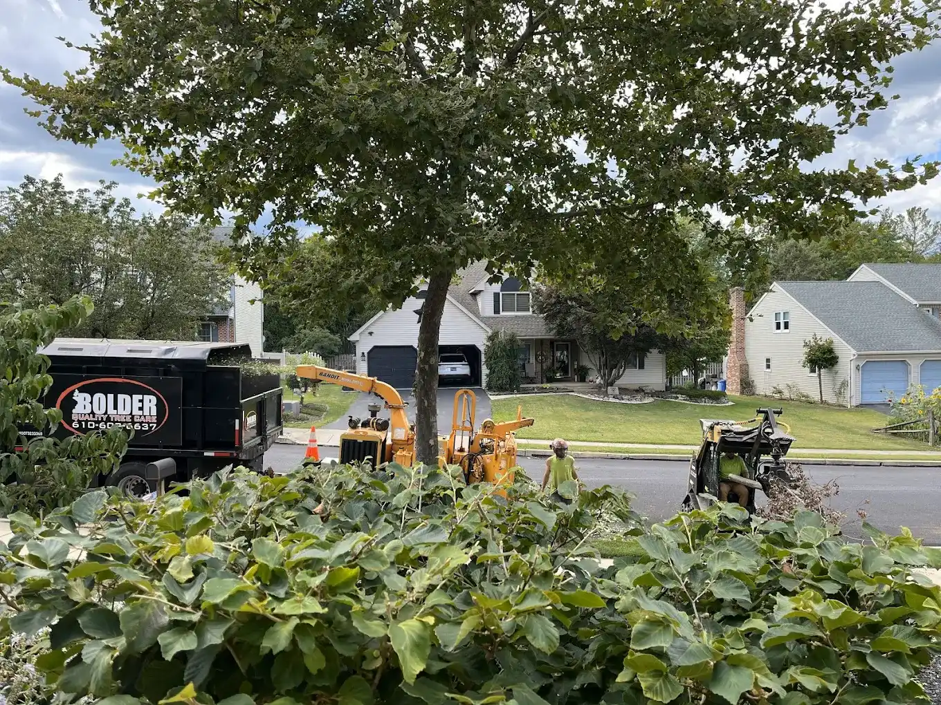 Bush removal and planting service in Reading PA with clean finish