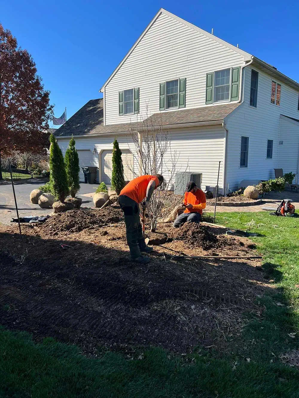 Professional tree service team working in Reading PA
